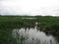 Рудня-Городищенська з panoramio.com