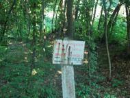 Бережне з panoramio.com