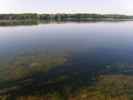 Вільхівка з panoramio.com