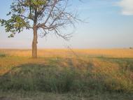 Бабин з panoramio.com