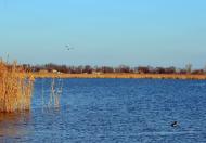Дарівка з panoramio.com