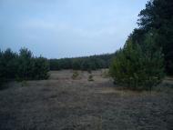 Арламівська Воля з panoramio.com