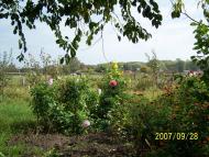 Рудня з panoramio.com