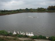 Іскрівка з panoramio.com