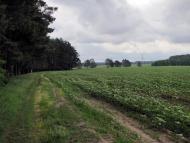 Рівнопілля з panoramio.com