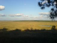 Dobrokamyanka - Latest photos