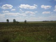 Віленька з panoramio.com