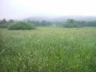 Великі Глібовичі з panoramio.com