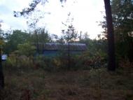 Тарасенки з panoramio.com - Тарасенки