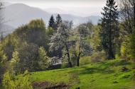 Бабин з panoramio.com - Бабин