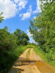 Комсомолець з panoramio.com