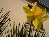 Стрижівка з panoramio.com