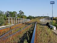 Джулинка - Останні фото