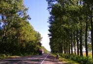 Скобелка з panoramio.com