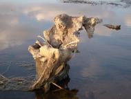 Кедина Гора з panoramio.com