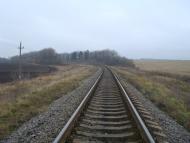 Кузьмин з panoramio.com