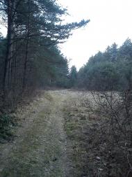 Арламівська Воля з panoramio.com