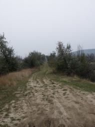 Малозименове з panoramio.com
