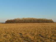 Знаменівка з panoramio.com - Знаменовка