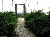 Пасіка з panoramio.com