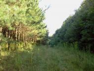 Цеперів з panoramio.com