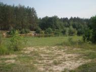 Нова Буда з panoramio.com