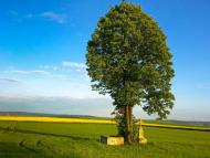 Михальча з panoramio.com