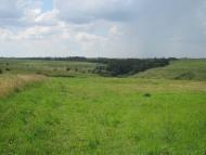 Клопіт з panoramio.com