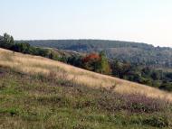 Зіньків з panoramio.com