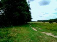 Прибузьке з panoramio.com