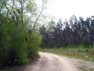 Вишняки з panoramio.com - Вишняки