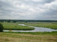 Куна з panoramio.com