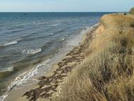 Володимирівка з panoramio.com