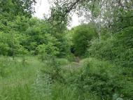 Пришиб з panoramio.com