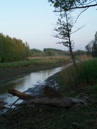 Лозова з panoramio.com