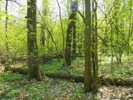 Улянівка з panoramio.com