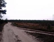 Тарасенки з panoramio.com - Тарасенки