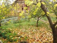 Велика Балка з panoramio.com
