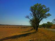 Табачне з panoramio.com