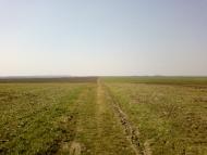 Великий Омеляник з panoramio.com