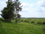 Русанів з panoramio.com