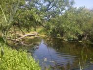 Усть-Лип'янка з panoramio.com