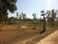 Дрофине з panoramio.com