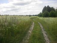 Березанка з panoramio.com