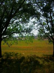 Левадки з panoramio.com