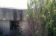 Староміщина з panoramio.com