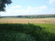 Михалківці з panoramio.com