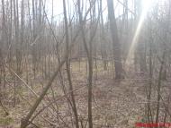 Ображіївка з panoramio.com