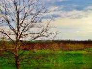 Лука з panoramio.com