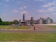 Вікторівка з panoramio.com